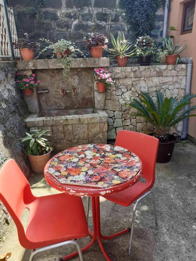 Apartman Samardzic Višegrad Exteriér fotografie